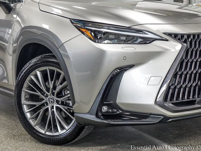 2022 Lexus NX 350h Luxury