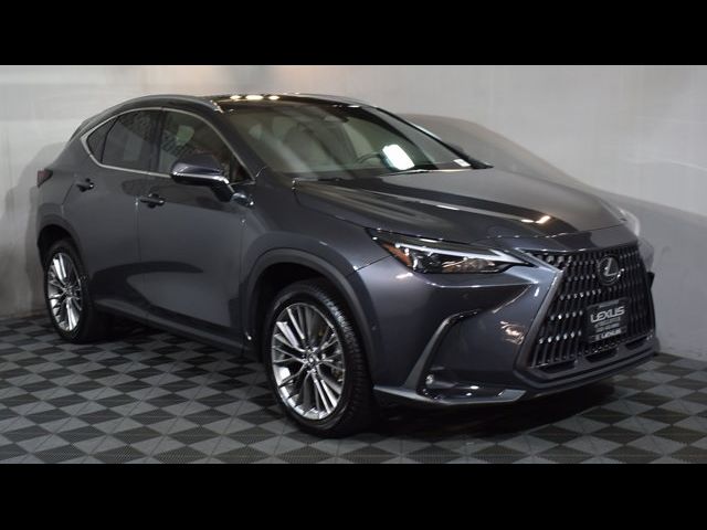 2022 Lexus NX 350h Luxury