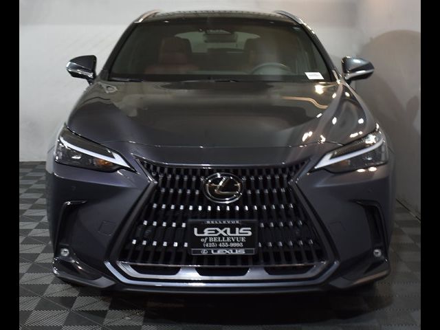 2022 Lexus NX 350h Luxury