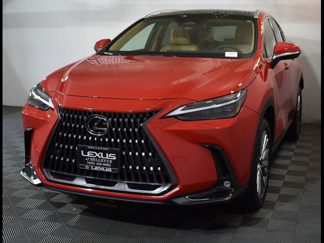 2022 Lexus NX 350h Luxury