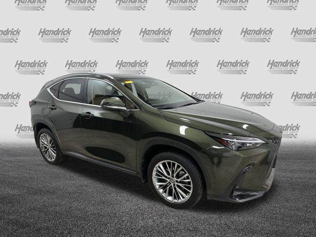 2022 Lexus NX 350h Luxury