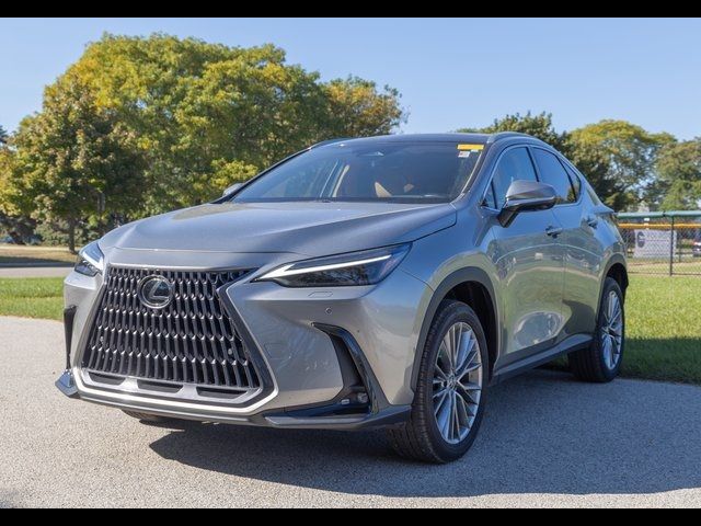 2022 Lexus NX 350h Luxury