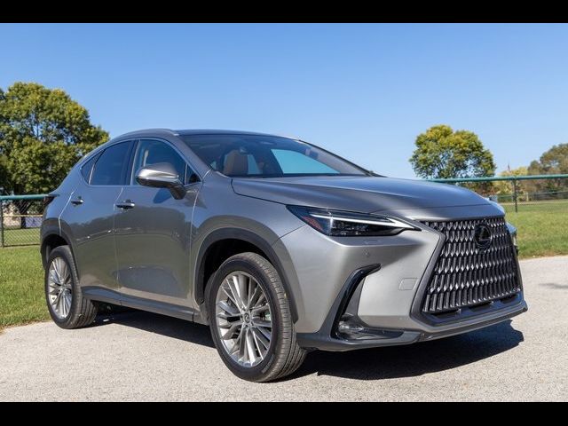 2022 Lexus NX 350h Luxury