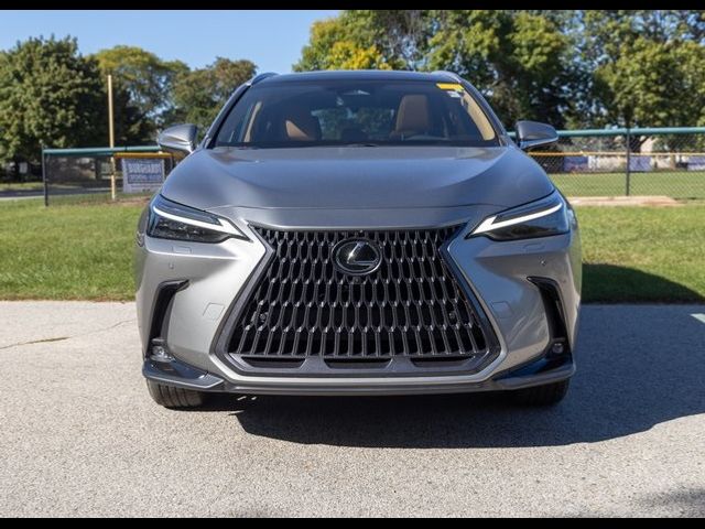 2022 Lexus NX 350h Luxury