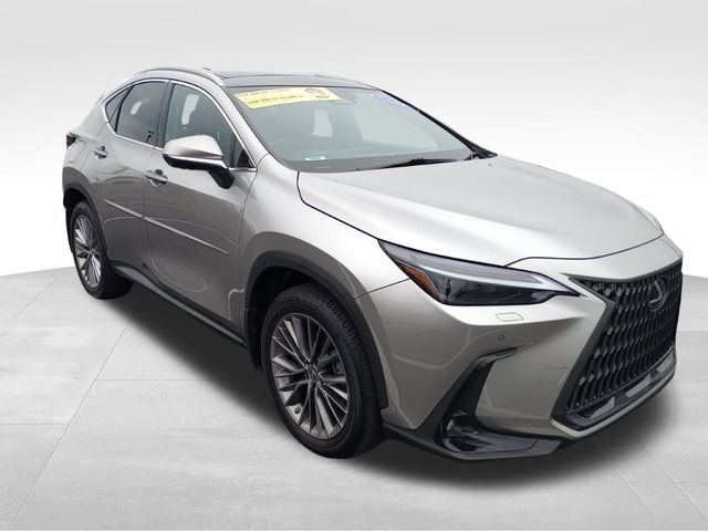 2022 Lexus NX 350h Luxury