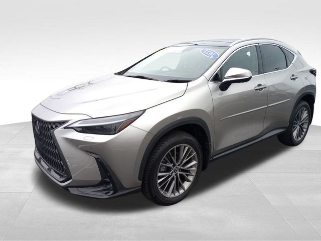 2022 Lexus NX 350h Luxury