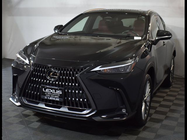 2022 Lexus NX 350h Luxury