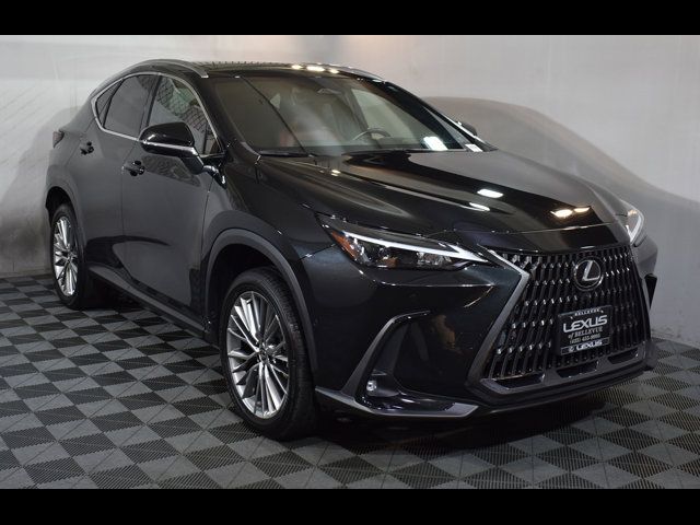 2022 Lexus NX 350h Luxury