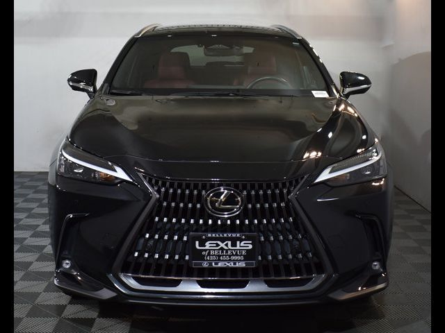 2022 Lexus NX 350h Luxury