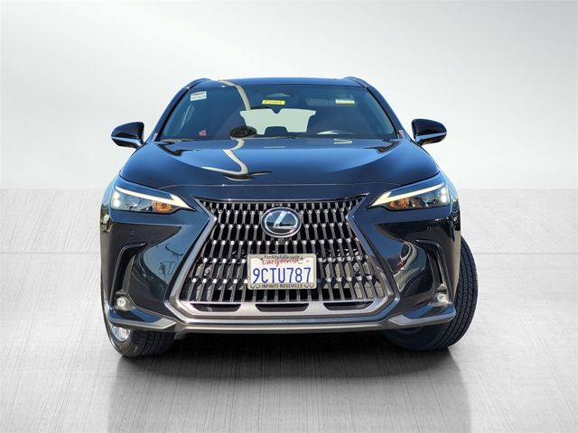 2022 Lexus NX 350h Luxury