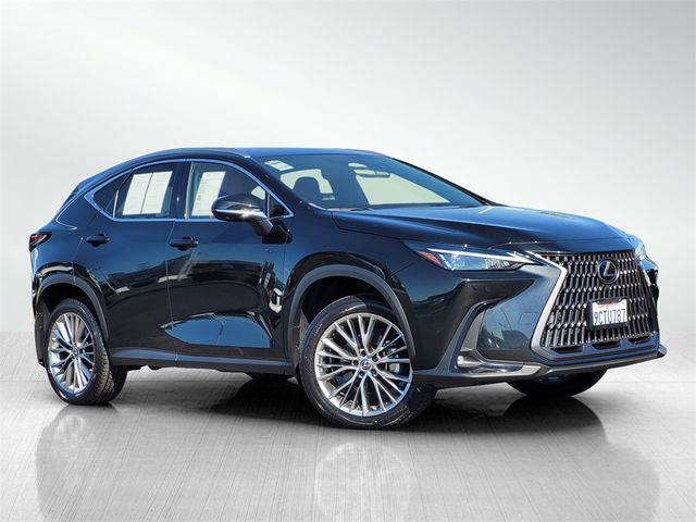 2022 Lexus NX 350h Luxury