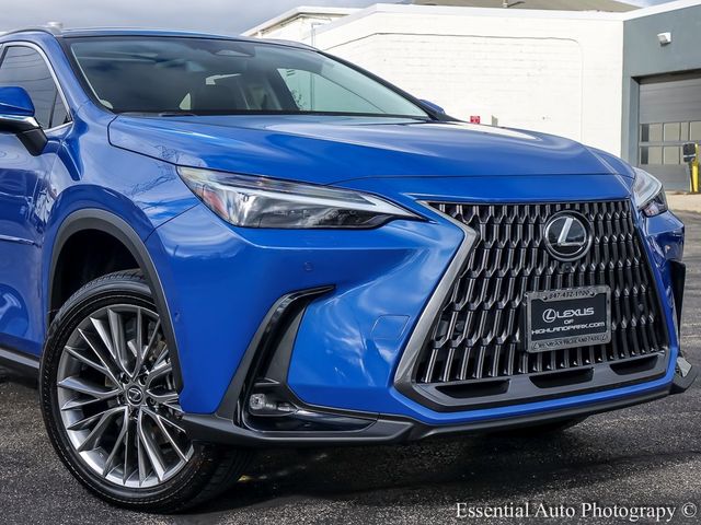 2022 Lexus NX 350h Luxury