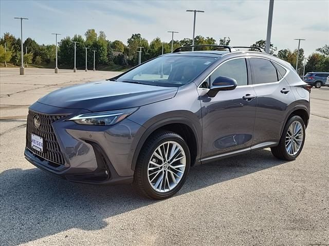 2022 Lexus NX 350h Luxury