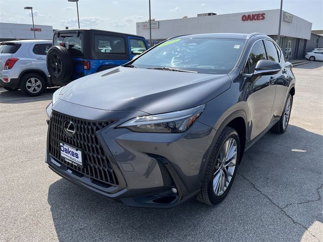 2022 Lexus NX 350h Luxury