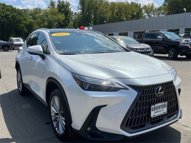 2022 Lexus NX 350h Luxury