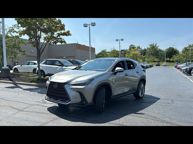 2022 Lexus NX 350h Luxury