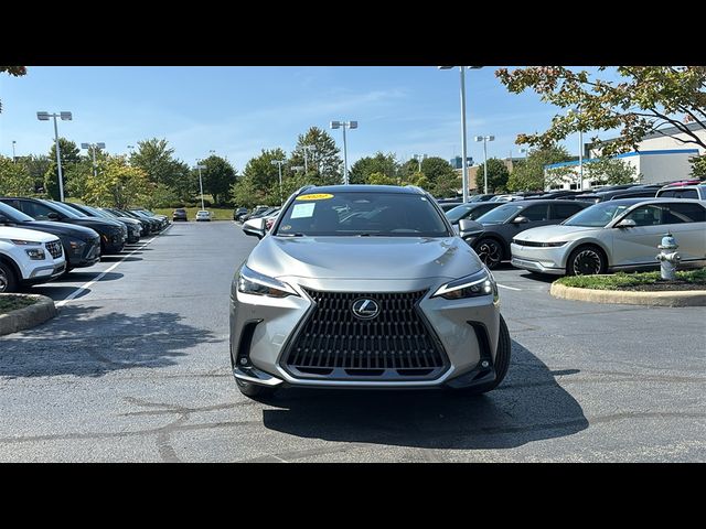 2022 Lexus NX 350h Luxury