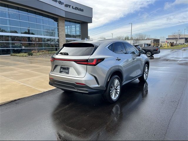 2022 Lexus NX 350h Luxury