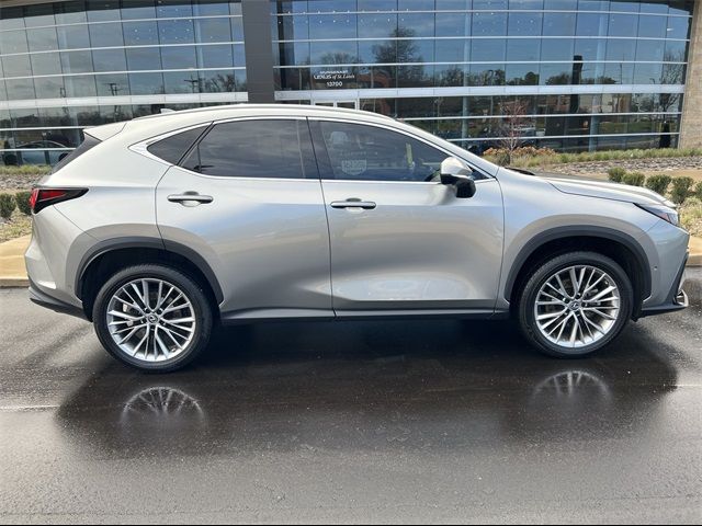 2022 Lexus NX 350h Luxury