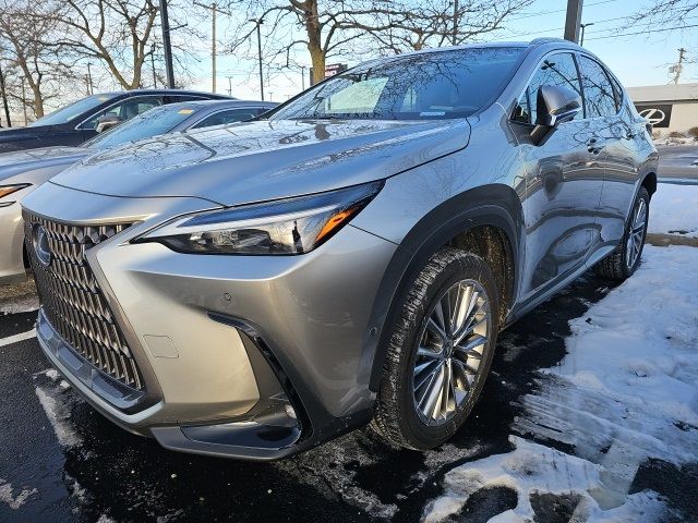 2022 Lexus NX 350h Luxury