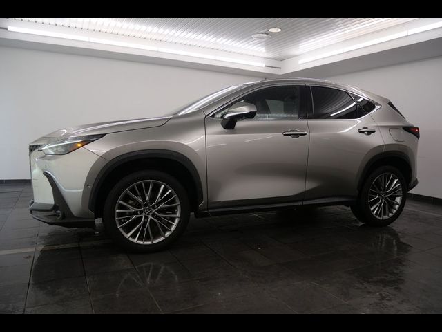 2022 Lexus NX 350h Luxury