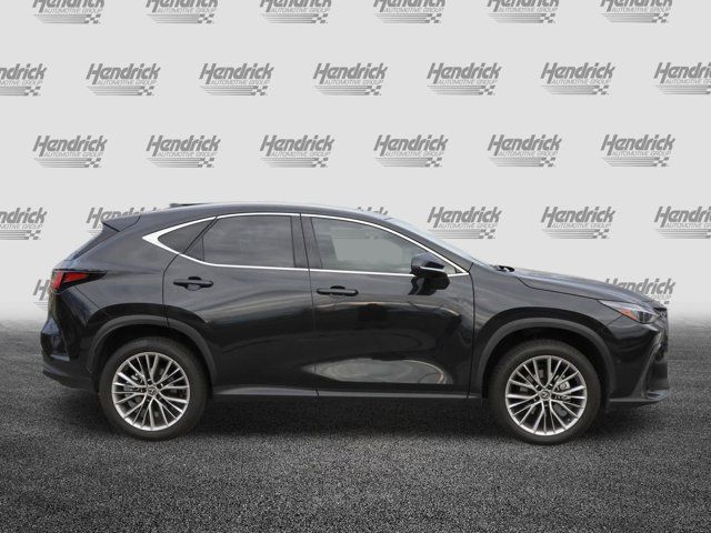 2022 Lexus NX 350h Luxury