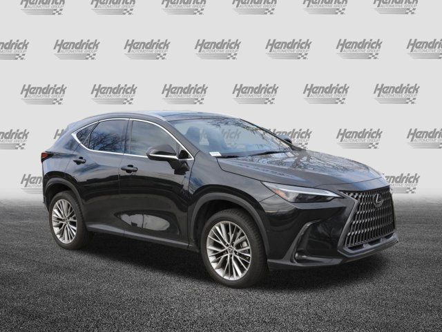 2022 Lexus NX 350h Luxury