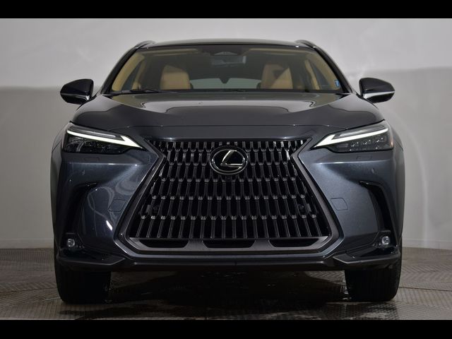 2022 Lexus NX 350h Luxury