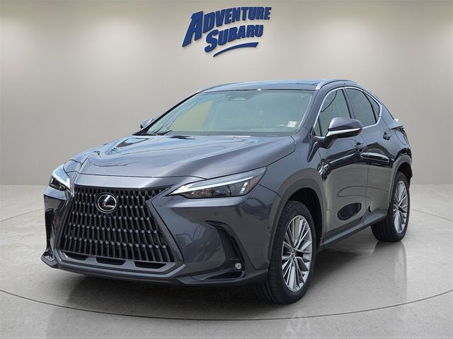 2022 Lexus NX 350h Luxury