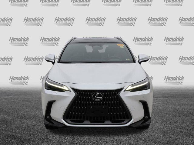 2022 Lexus NX 350h Luxury