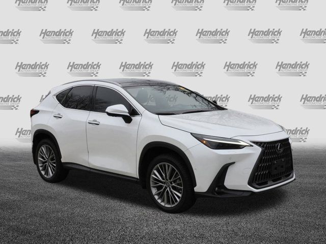 2022 Lexus NX 350h Luxury