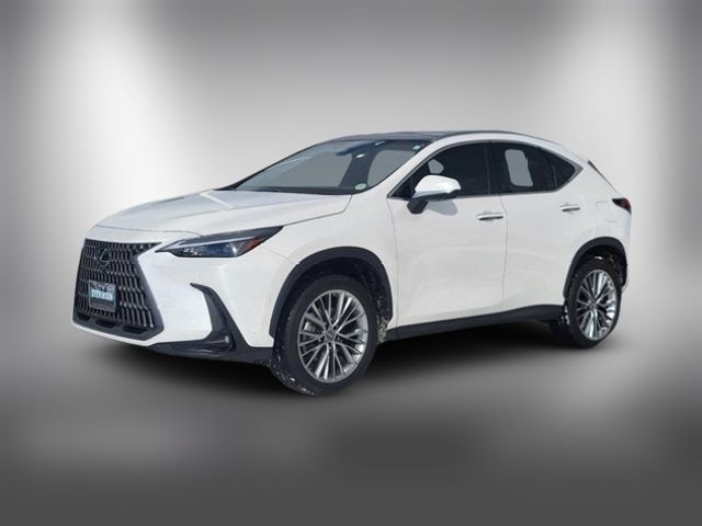 2022 Lexus NX 350h Luxury