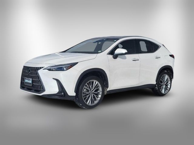 2022 Lexus NX 350h Luxury