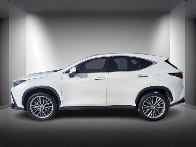 2022 Lexus NX 350h Luxury