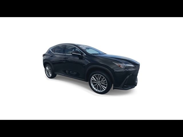 2022 Lexus NX 350h Luxury