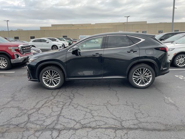 2022 Lexus NX 350h Luxury