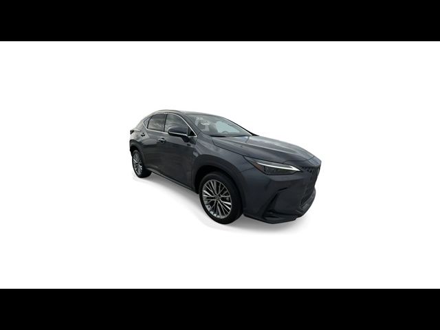 2022 Lexus NX 350h Luxury