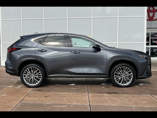 2022 Lexus NX 350h Luxury