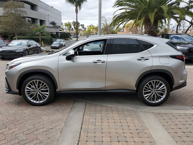 2022 Lexus NX 350h Luxury