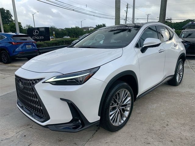 2022 Lexus NX 350h Luxury