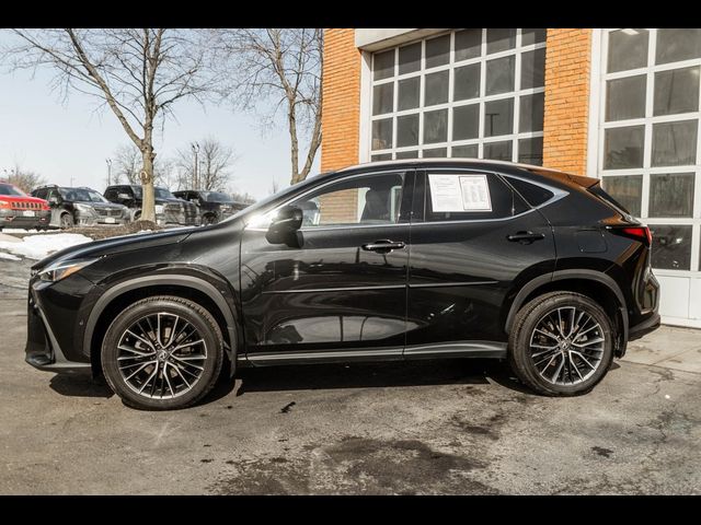 2022 Lexus NX 350h Premium