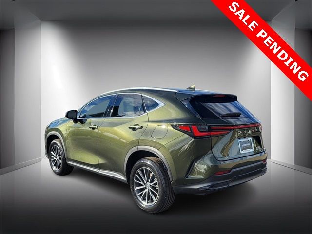 2022 Lexus NX 350h Premium