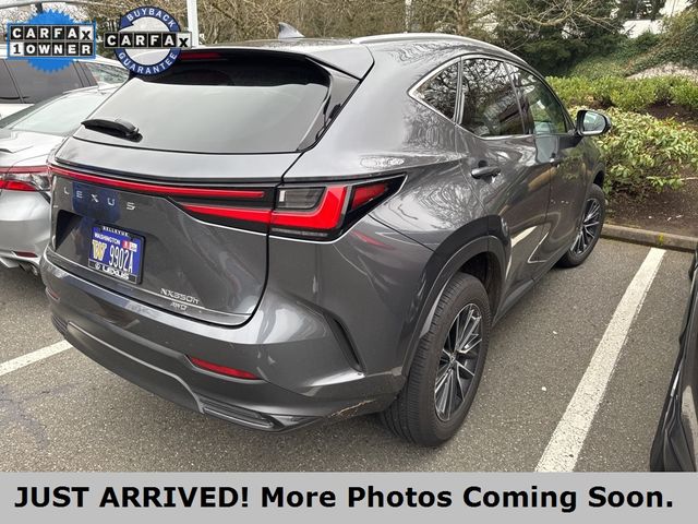 2022 Lexus NX 350h Premium