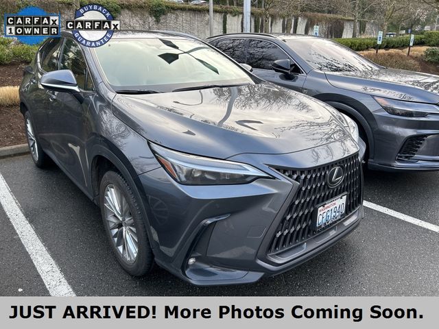 2022 Lexus NX 350h Premium