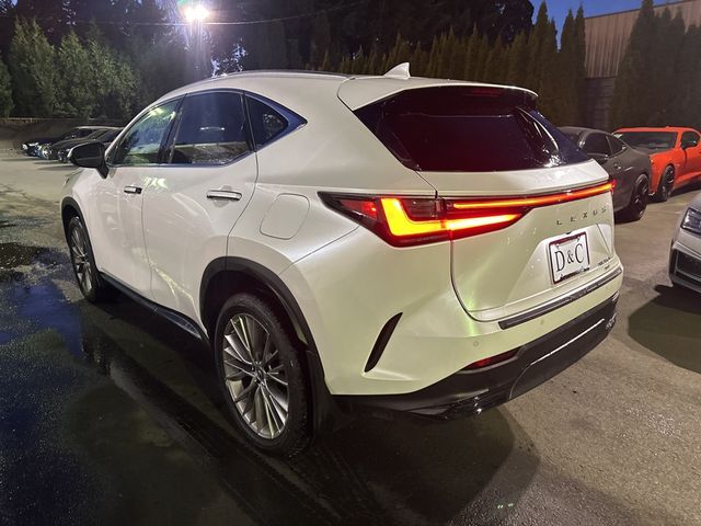 2022 Lexus NX 350h Premium