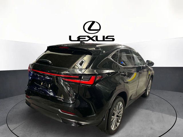 2022 Lexus NX 350h Premium