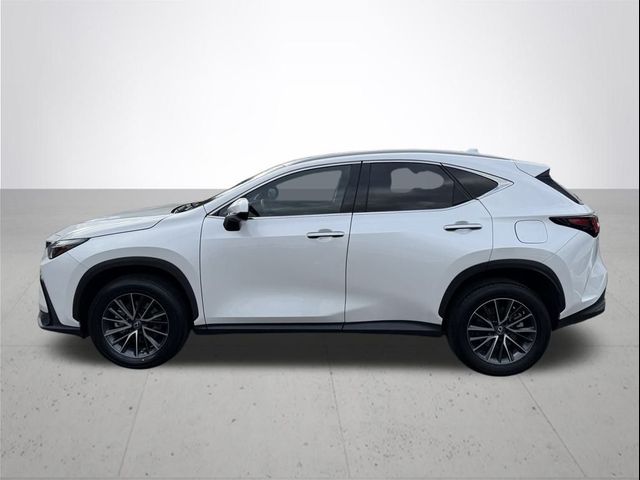 2022 Lexus NX 350h Premium