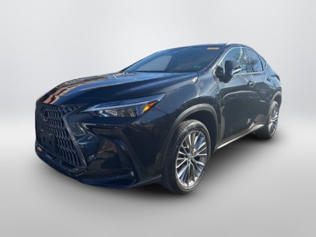 2022 Lexus NX 350h Premium