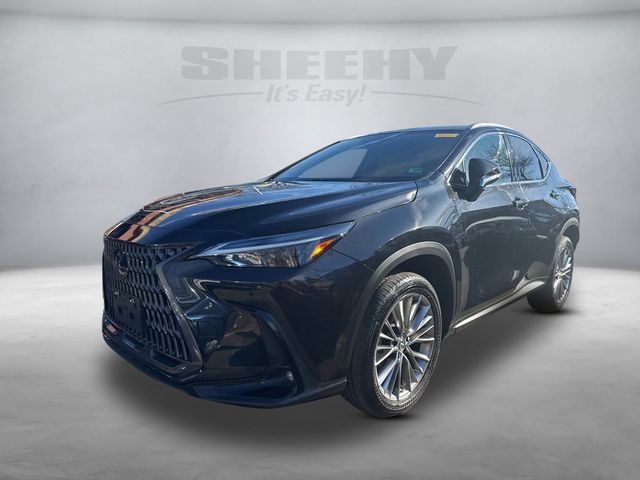 2022 Lexus NX 350h Premium