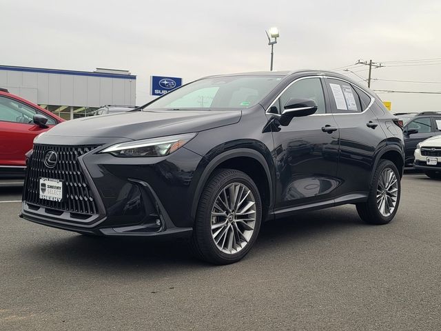 2022 Lexus NX 350h Premium